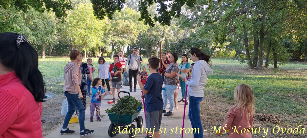 Adoptuj si strom MŠ Košúty47