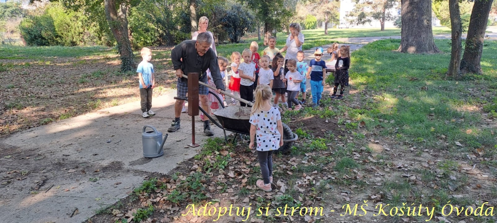 Adoptuj si strom MŠ Košúty50