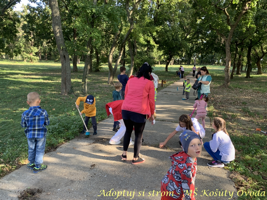 Adoptuj si strom MŠ Košúty74