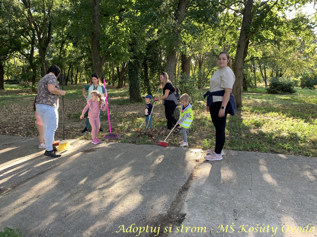 Adoptuj si strom MŠ Košúty80