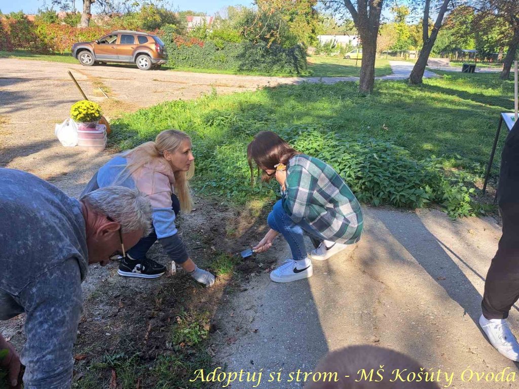 Adoptuj si strom MŠ Košúty288