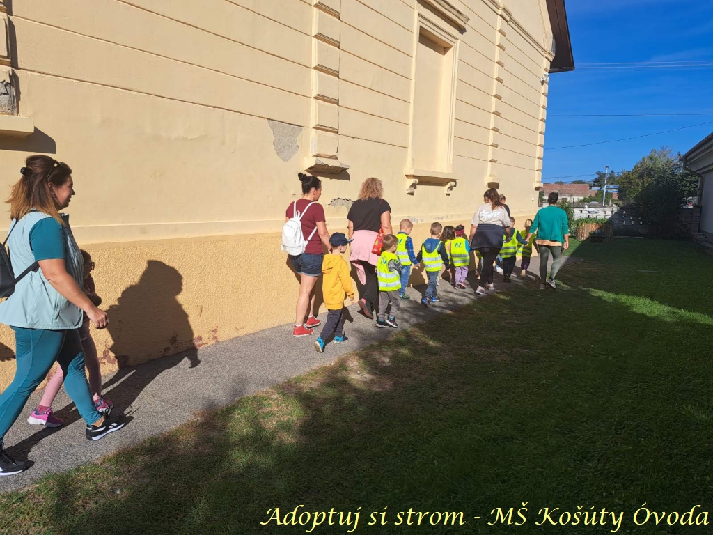 Adoptuj si strom MŠ Košúty299