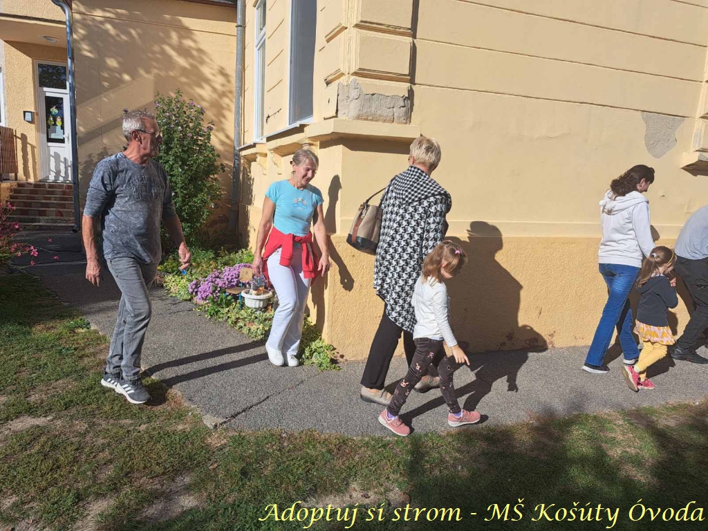 Adoptuj si strom MŠ Košúty302