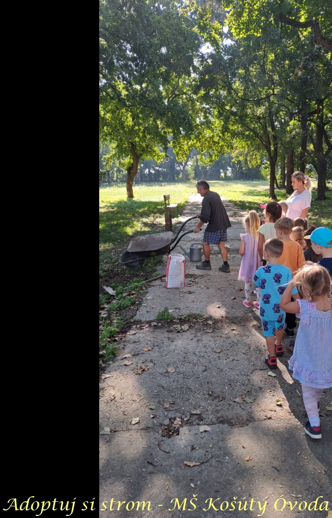 Adoptuj si strom MŠ Košúty328