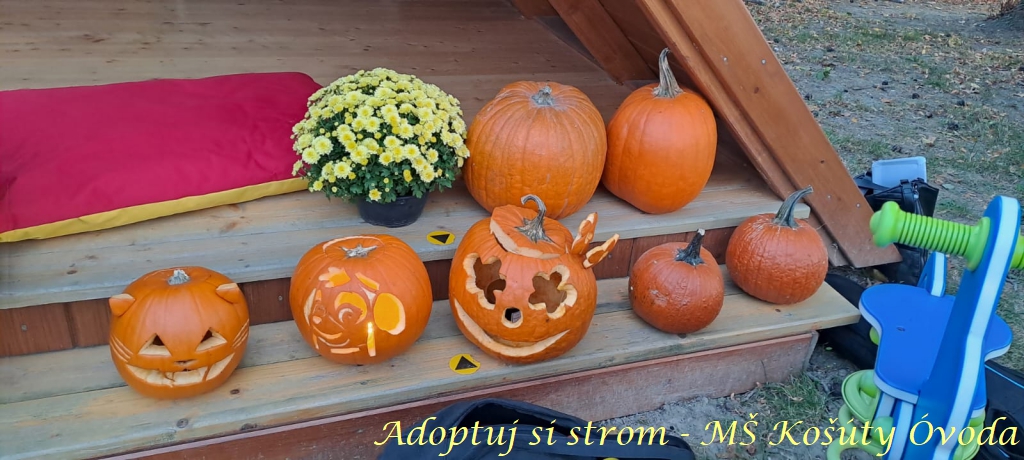 Adoptuj si strom MŠ Košúty331