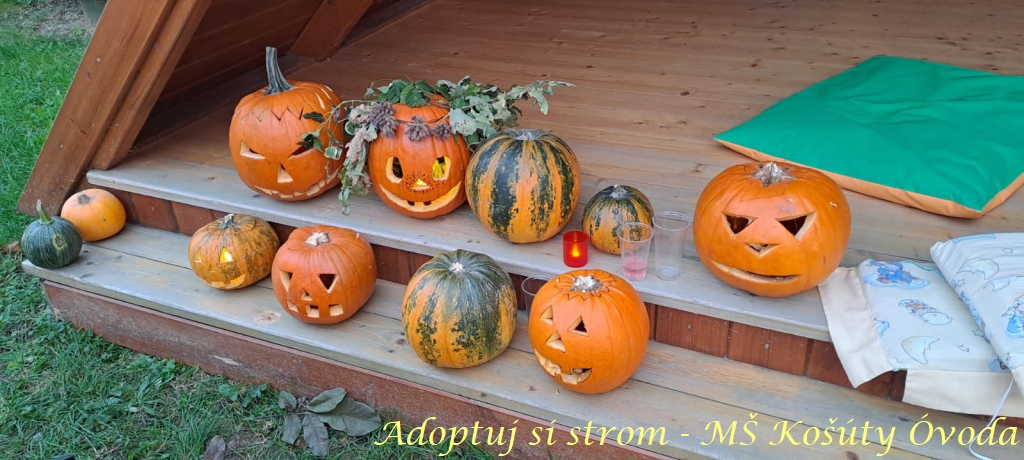 Adoptuj si strom MŠ Košúty371