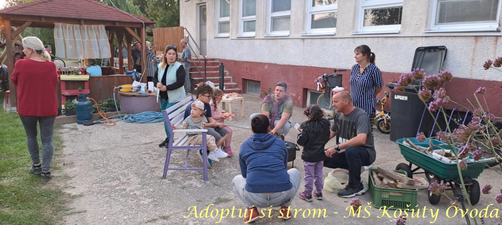 Adoptuj si strom MŠ Košúty376