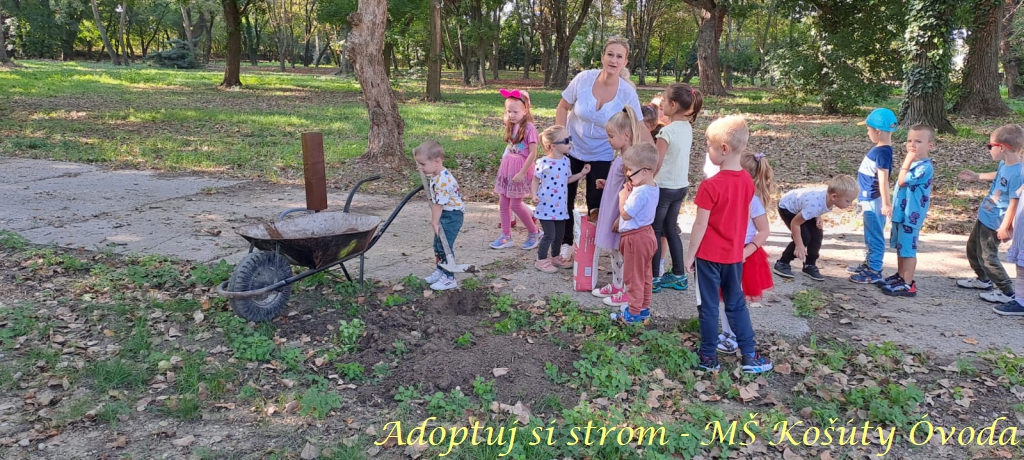Adoptuj si strom MŠ Košúty402