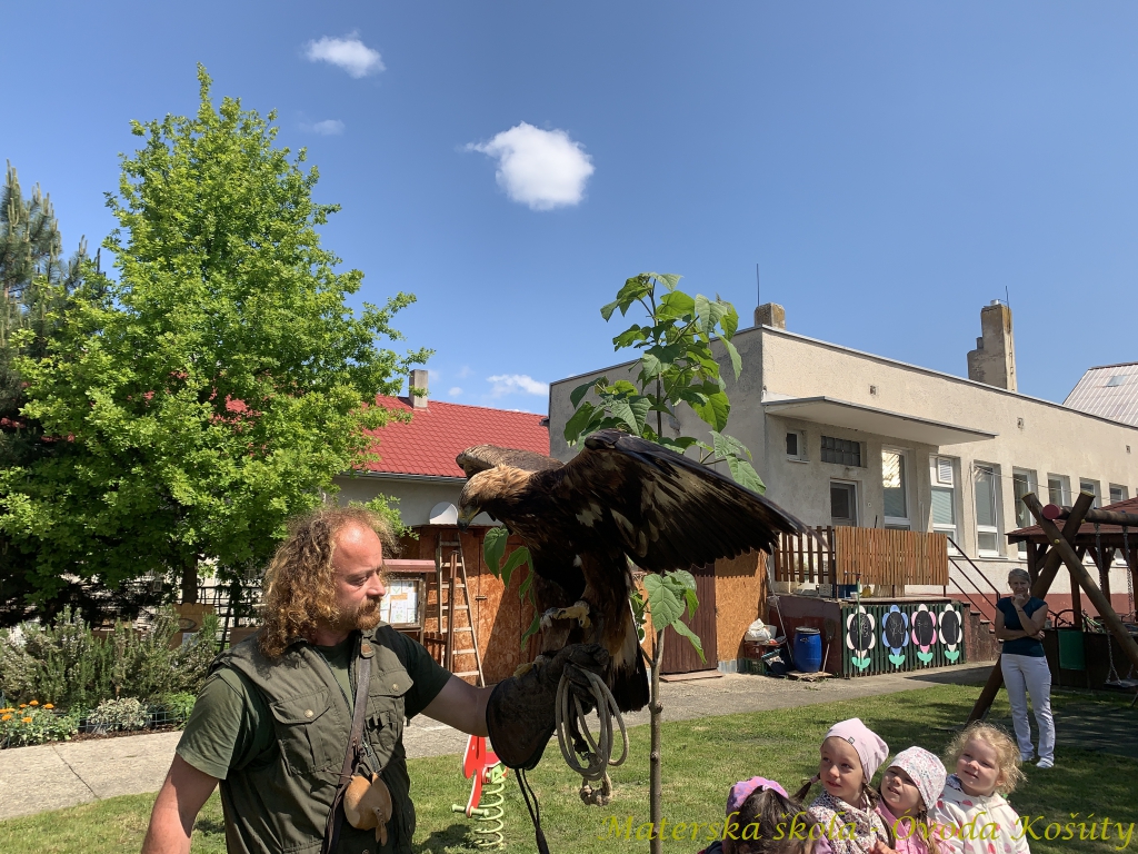 IMG_5178