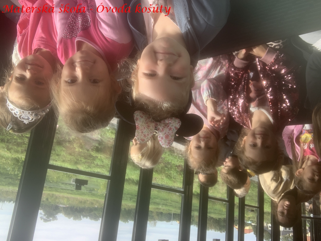 mskosuty26