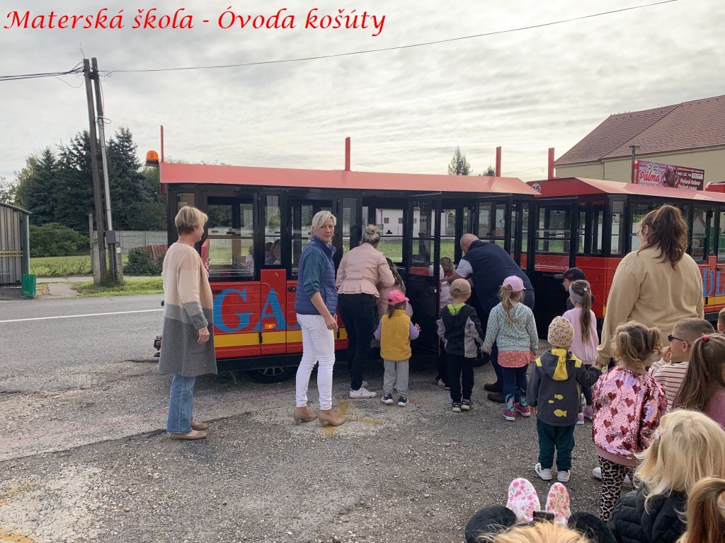 mskosuty59