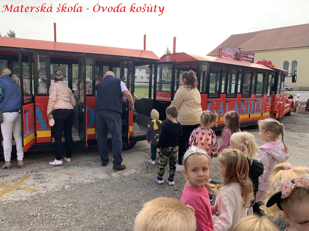 mskosuty60