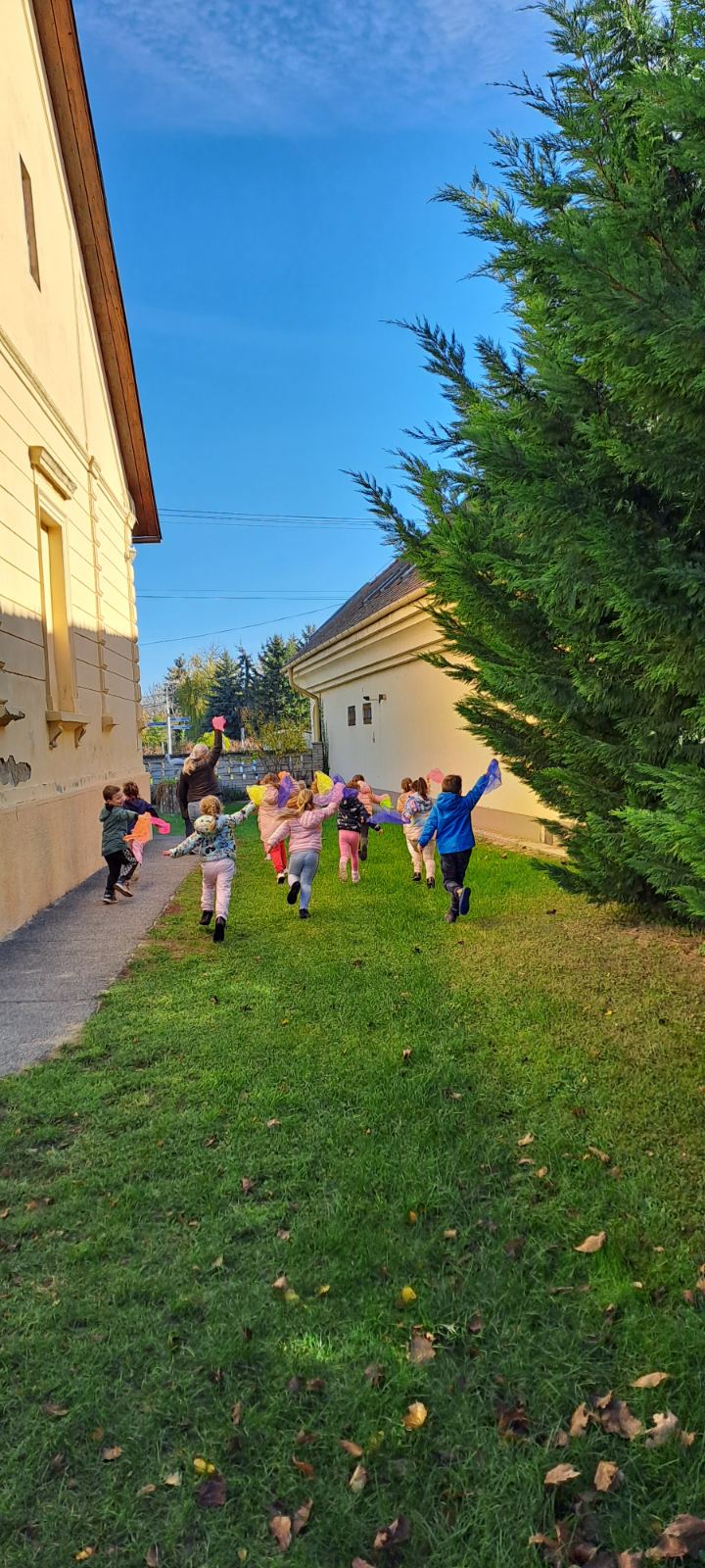 IMG-dec92f73bdd4d933bf5ee2eecc063fcc-V