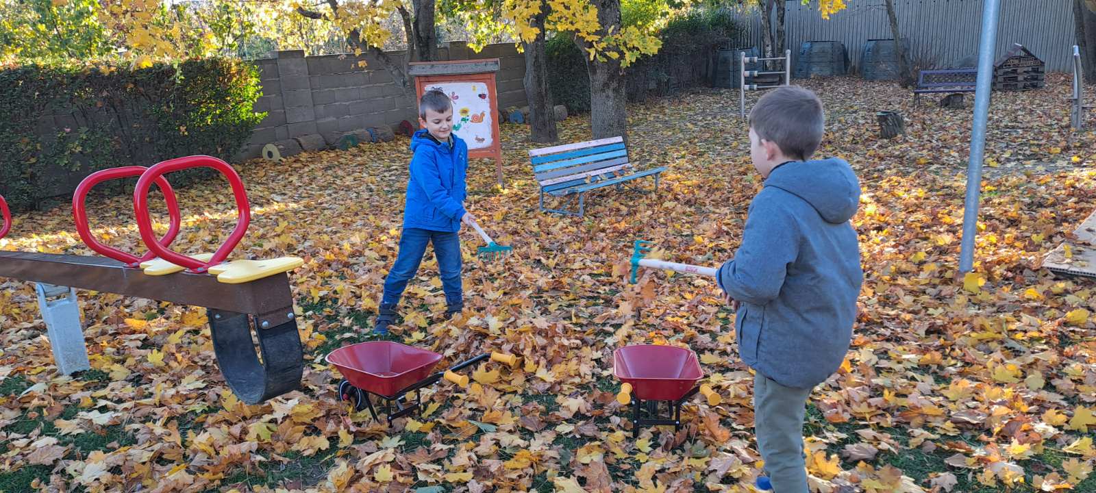 IMG-cc9b6c99b20c3868a4dd21f88212ccdb-V