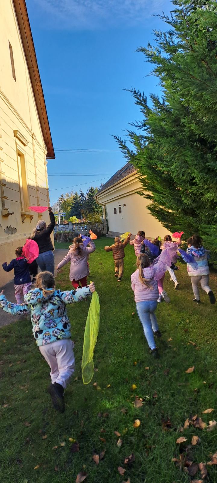 IMG-a3cdb9d22cb416ddb4cfc44ac0d036d8-V