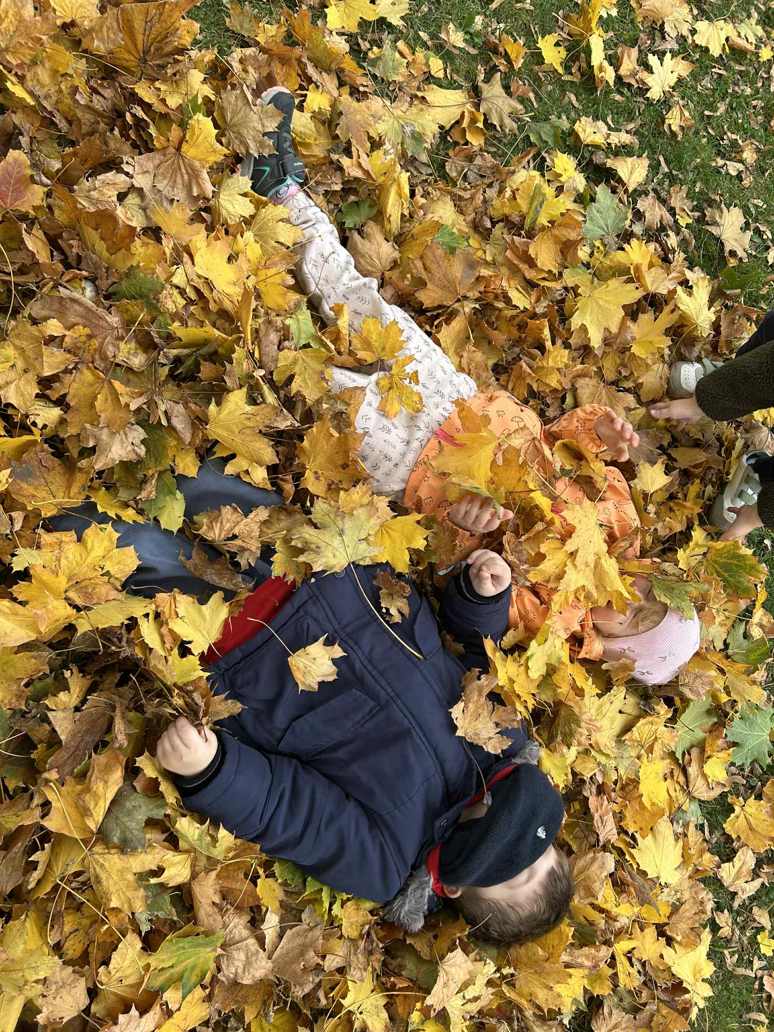 Messenger_creation_F8D40A66-2A8E-41A6-B998-AE36CC72989F