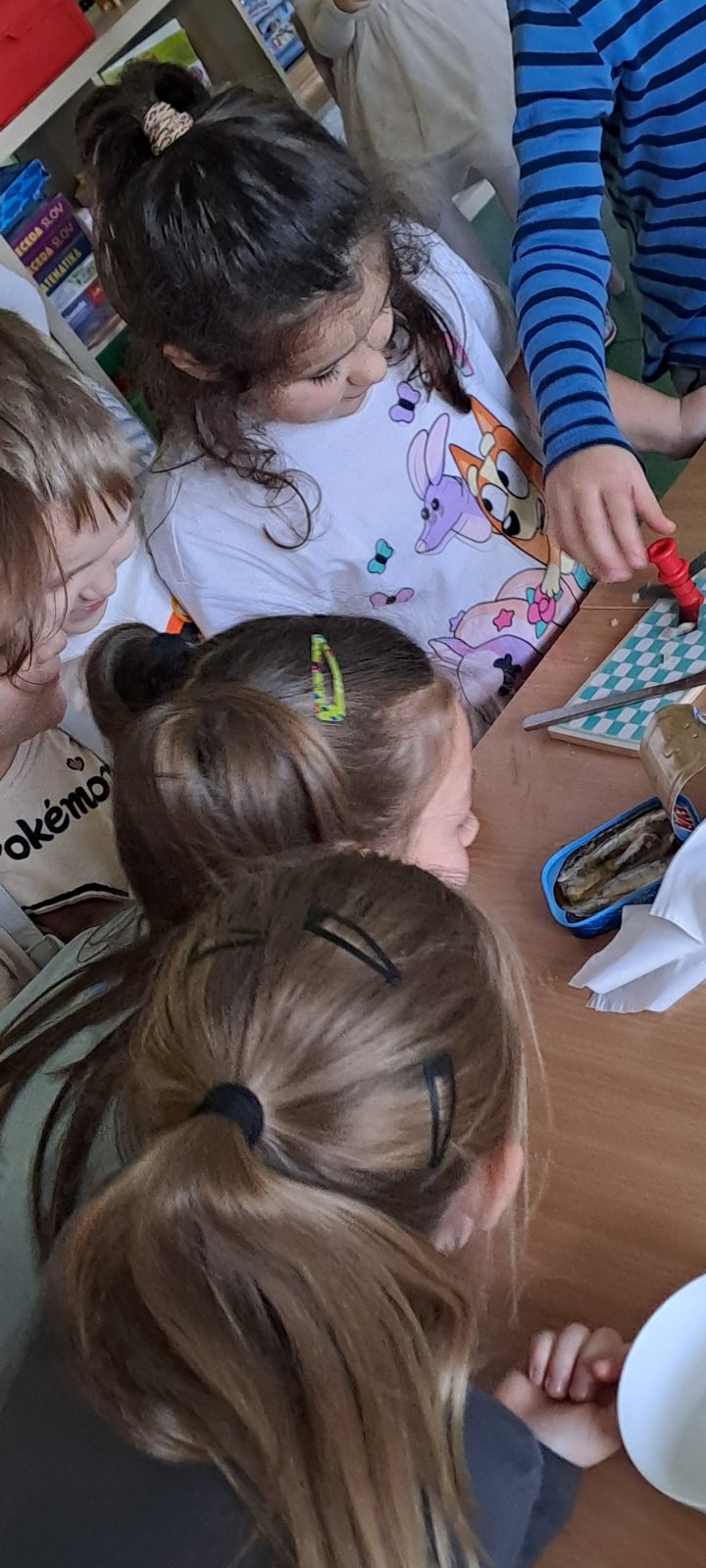 IMG-149ea922a52f5e05a780a5333fe01b0e-V