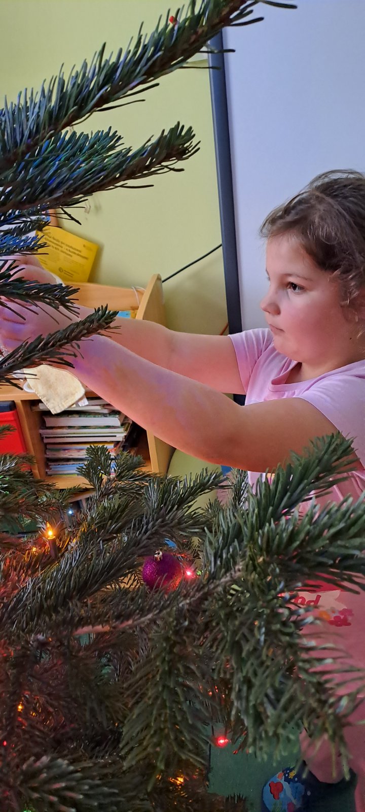 IMG-cabc635bd2c1e3a95deebceb341e9a48-V