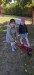 IMG-ef708895c947fb1f1d3b68de68ed9183-V